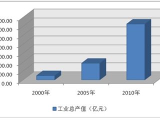 2001-2010ʯͨҵʮ귢չ